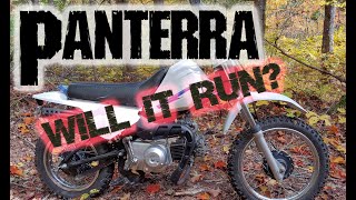 Panterra 90cc PitMini Bike  Will it run [upl. by Hubert838]