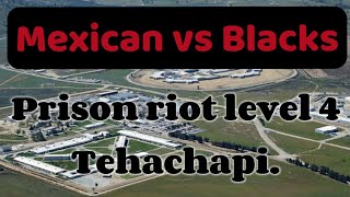 Riot between blacks and Mexicans prisonstory californiaprison youtube fyp [upl. by Placidia240]