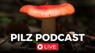 Pilz Podcast Live Folge 79 [upl. by Leah]