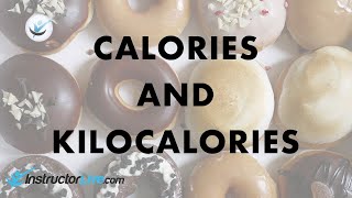 Calories and Kilocalories [upl. by Lajet]