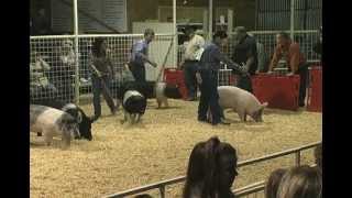 Walter Gerlach Livestock Show 2012 [upl. by Zannini]