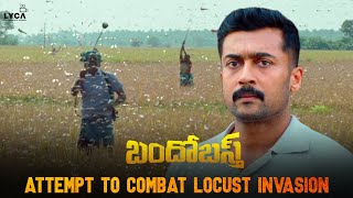 Bandobast Movie Scene Telugu  Attempt to Combat Locust Invasion  Suriya Arya  Sayyeshaa  Lyca [upl. by Woodhouse158]