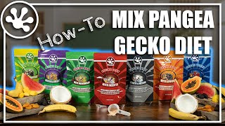 How to mix Pangea Complete Crested Gecko Diet [upl. by Nnadroj]