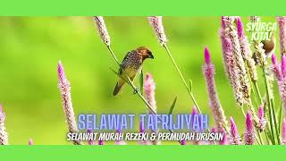 Selawat Tafrijiyah Selawat Murah Rezeki amp Permudah Urusan Healing amp Relaxation selawat sholawat [upl. by Cestar987]