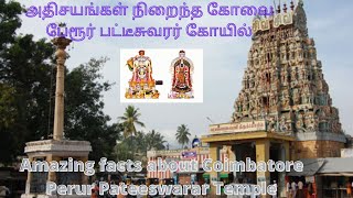 அதிசயங்கள் நிறைந்த கோவை பேரூர் பட்டீசுவரர் கோயில்Amazing facts about Kovai Perur Pateeswarar Temple [upl. by Revolc]