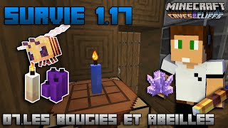 Survie Tuto 117  Faire des Bougies grâce aux Abeilles   07  Minecraft Découverte 117 [upl. by Ahsemik]