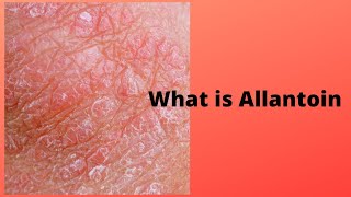 What is Allantoin [upl. by Eerol]