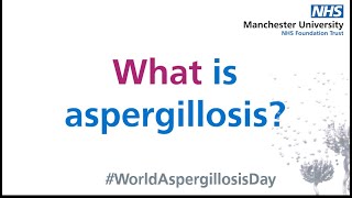 What is Aspergillosis [upl. by Amikan]