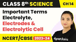 Class 8 Science Chapter 14  Important Terms Electrolyte Electrodes and Electrolytic Cell [upl. by Simona338]