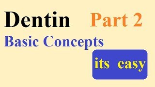 Dentin  part 2 BASIC CONCEPTS [upl. by Alfred576]