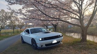 ダッジ チャレンジャーV8 6400CC エンジン始動とアイドリング [upl. by Dnomed]