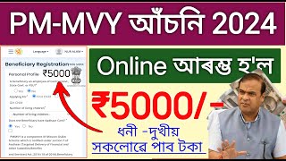 PMMVY Scheme 2024 Online Apply  How to online apply pm Matru Vandhana Yojana [upl. by Lili]