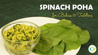 Spinach Poha  Iron Rich Savory Baby Food  6 to 9 months  Stage 1 Baby Food [upl. by Sheepshanks398]