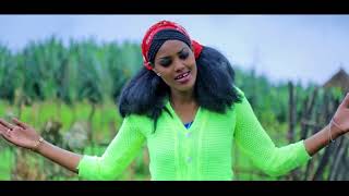 Today oromiyaa Music Video 2017 [upl. by Anitnauq100]