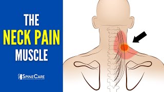 The Neck Pain Muscle How to Release It for INSTANT RELIEF [upl. by Chambers]