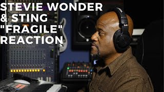 Stevie Wonder amp Sting  quotFragilequot Reaction [upl. by Lamrej]