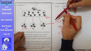 Asal Sayılar ve Asal Çarpanlar Soru Çözümü  Test 19  TYT Matematik [upl. by Mercer]