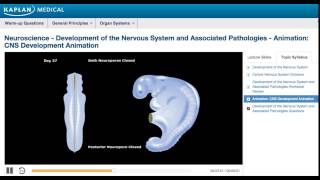 USMLE® Step 1 Neuroscience Development of CNS Animation [upl. by Waltner807]