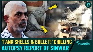 Yahya Sinwars Autopsy Report Gruesome Facts Emerge on How IDF Killed Hamas Chief Details Here [upl. by Corotto]