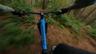 Kinver Edge techy DH mountain bike trail nearly fell off [upl. by Netsyrc181]