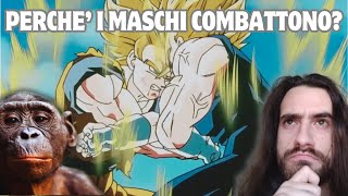 Perché i MASCHI COMBATTONO [upl. by Toulon]