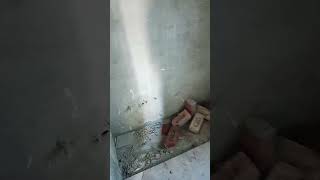 Abhi simple Tel nahin lagi hai agali video mein Tel lagenge iske andar [upl. by Juni649]