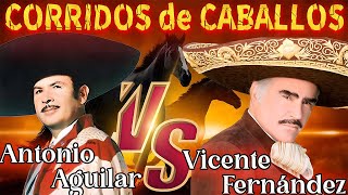 VICENTE FERNANDEZ y ANTONIO AGUILAR CON TAMBORA  MIX PUROS CORRIDOS DE CABALLOS [upl. by Elrae]