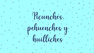 Picunchespehuenches y huilliches [upl. by Rostand]