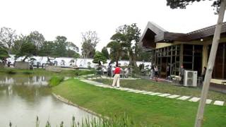 Lingnan Penjing Southern Bonsai Show in Daliang China [upl. by Iem325]