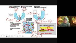 BIO091 Week 6  Chapter 3 Plasma Membrane Transport [upl. by Sisco642]