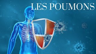 POUMONS SON ROLE ET COMMENT LES PROTEGER [upl. by Grote377]