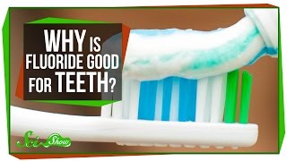 Why Is Fluoride Good for Teeth [upl. by Newell]