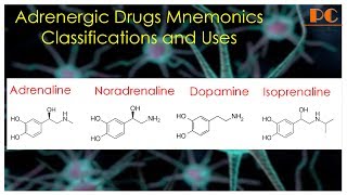 Sympathomimetics Pharmacology Part 1  Sympathomimetic Drug Classification and Uses [upl. by Hyatt]