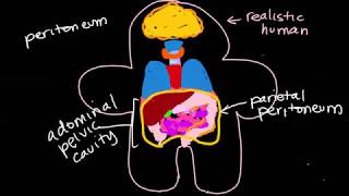 BIOL 430 Organs Review Lab [upl. by Atirys]