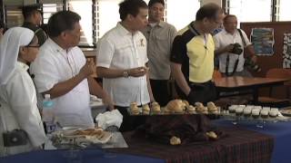 Visit to the Sisters of Mary Girlstown Complex 1132014 [upl. by Arekat959]