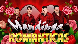 LOS MANDINGO EXITOS ROMANTICOS💖EXITOS SUS MEJORES CANCIONES DE MANDINGO [upl. by Oeak948]