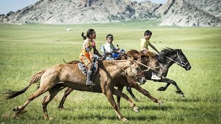 The epic horse race across the Mongolian steppe  BBCURDU [upl. by Harbard]