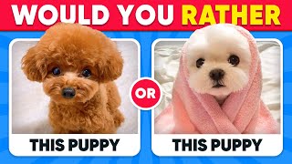 Would You Rather Food Edition 🍟🧁 Daily Quiz [upl. by Blancha]