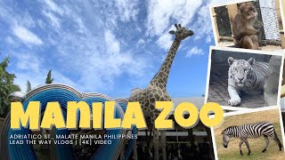 4K Manila Zoo 2024 walking tour Philippines new update zoo animals viewing  LEAD THE WAY VLOGS [upl. by Windzer]