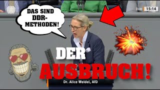 WEIDEL rastet aus Die Zerstörung von Merz und KONSORTEN 💥⚡️ [upl. by Guglielmo569]