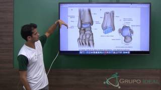 Mobilização articular  Ombro Joelho tornozelo Curso treinamento e Aula Explicativa [upl. by Ytsur265]