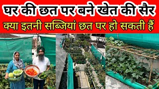 छत पर बने खेत की सैर  क्या इतनी सब्जियां घर की छत पर हो सकती हैं  Terrace Kitchen Garden [upl. by Attenauqa]