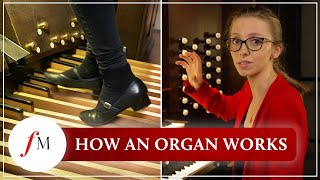 How does a pipe organ actually work  Anna Lapwood  Classic FM [upl. by Nehtanhoj484]