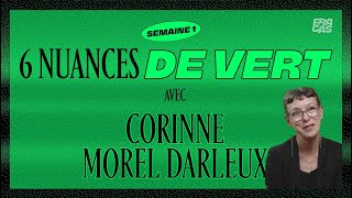 Entretien avec Corinne Morel Darleux  6 nuances de Vert [upl. by Krusche]