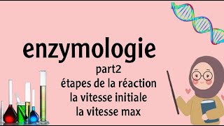 enzymologie  la cinétique enzymatique part 2 [upl. by Wengert487]