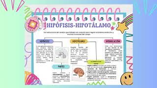 interrelación entre Hipófisis y Hipotálamo [upl. by Aihsas]