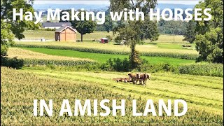 SUMMER TIME  HAYMAKING TIME in AMISH LANDLancaster County Pennsylvania [upl. by Kissie886]