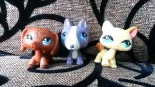 LPS  Shopping 6 Moje nowe Littlest Pet Shop [upl. by Piwowar82]