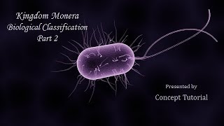 Kingdom Monera  ArchaebacteriaEubacteriaCyanobacteriaMycoplasma  Biology Class 11NEET [upl. by Ikcin730]