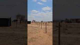 Plot For Sale Dodoma Miyuji Mpamaa Street Block BK Plot no 6 and has an area of ​​870 Sqm [upl. by Lamori]